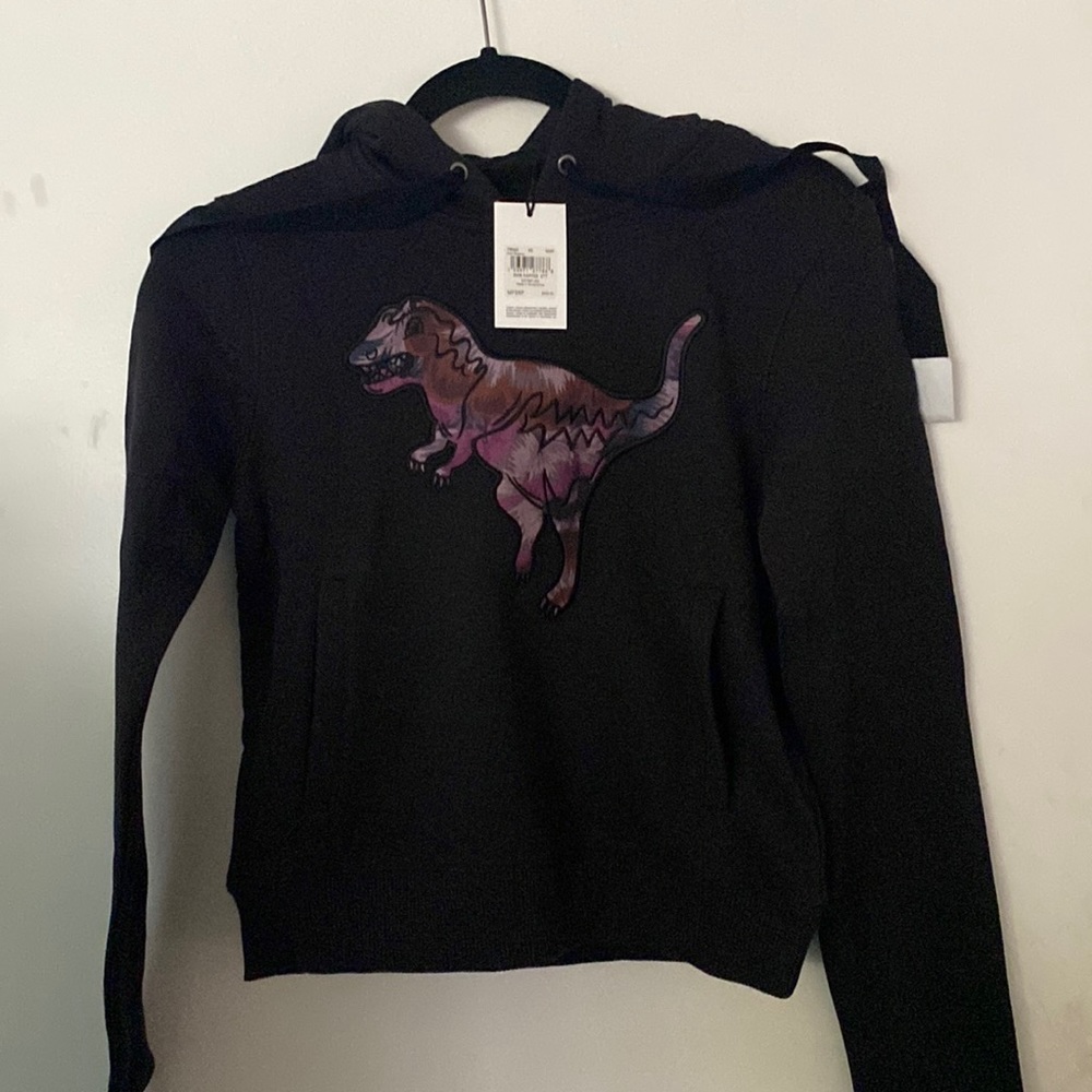 COACH Rexy the Dinosaur Hoodie Kaffe Fassett xs